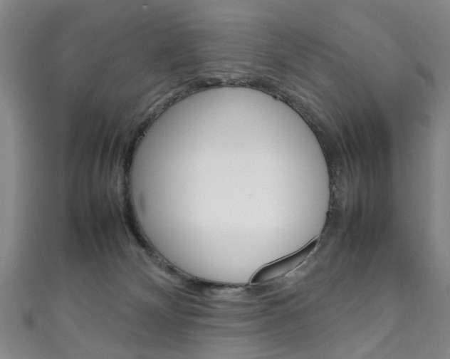 X0000111250132200907021027