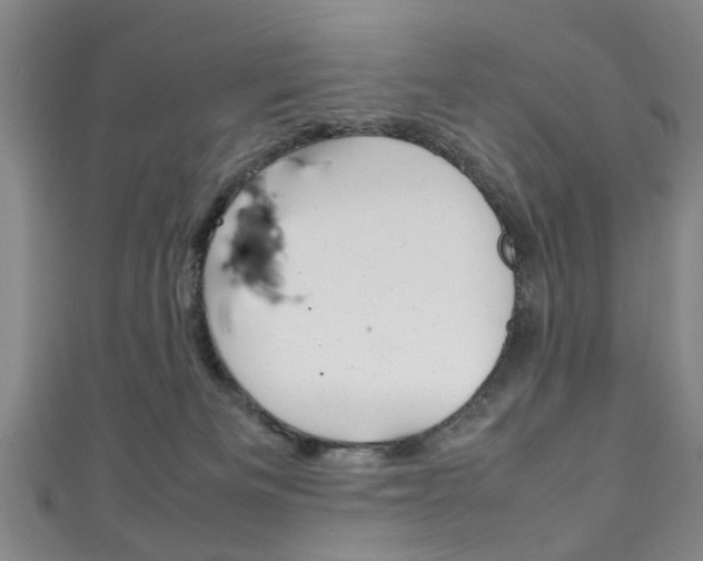X0000111250133200907021027