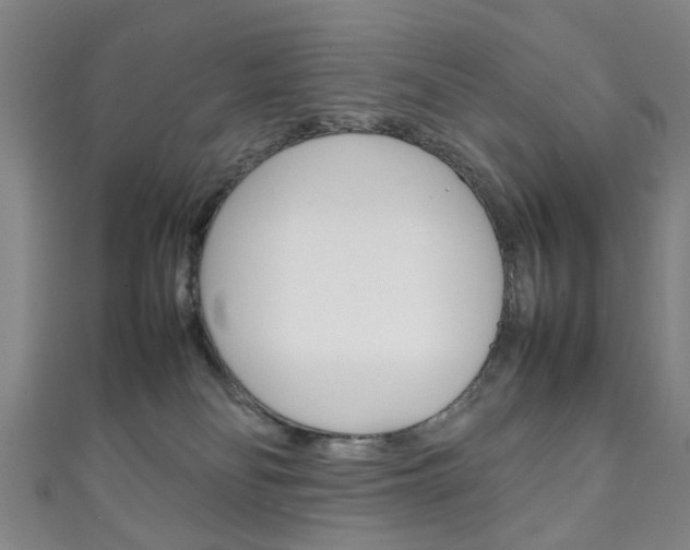 X0000111250134200907021027