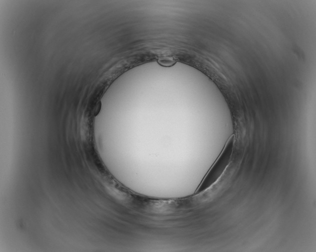 X0000111250136200907021027