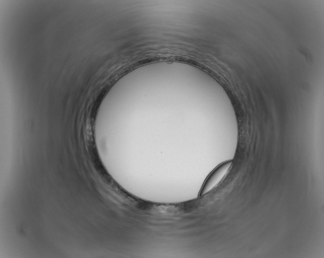 X0000111250137200907021027