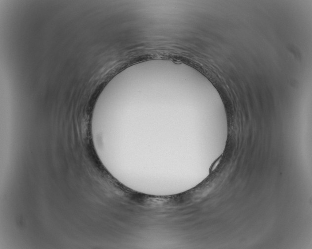 X0000111250139200907021027