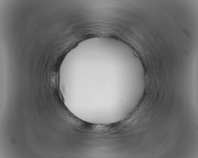 X0000111250141200907021027