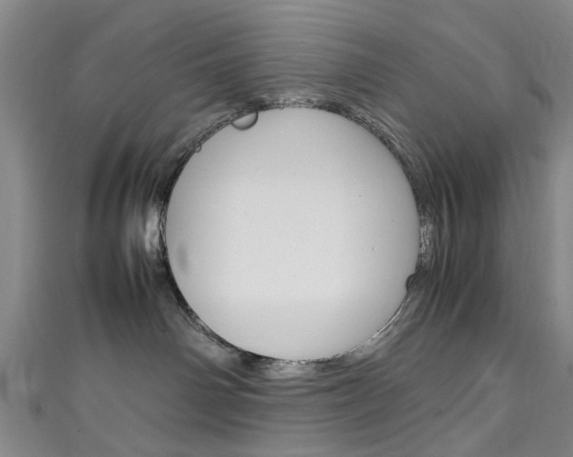 X0000111250142200907021027