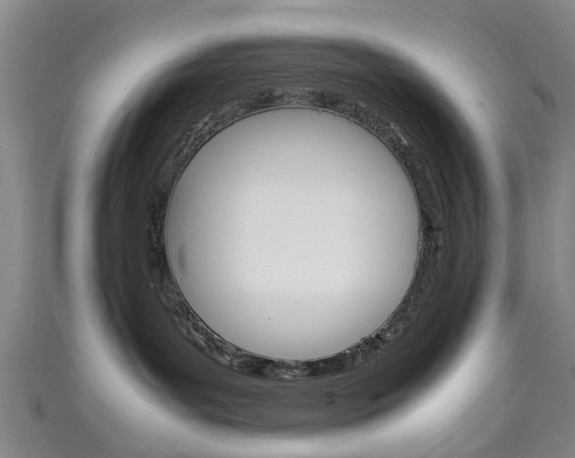 X0000111250143200907021027