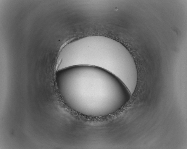 X0000111250144200907021027