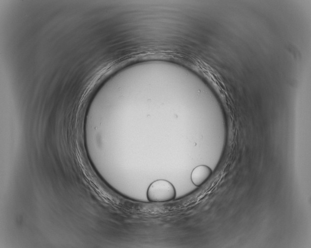 X0000111250145200907021026
