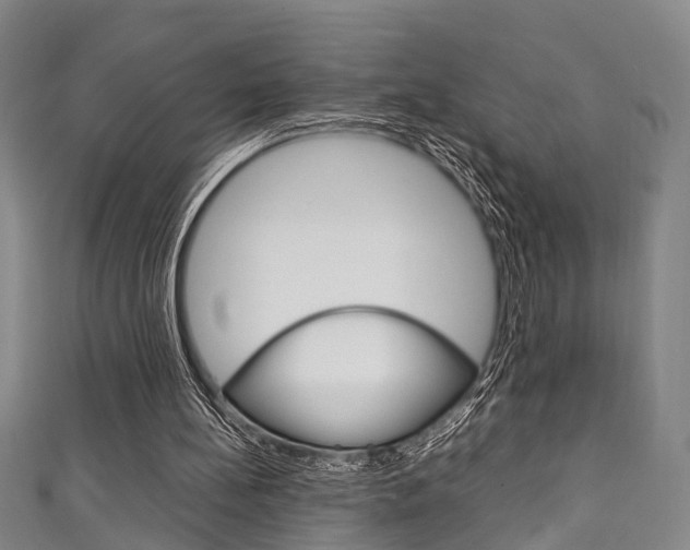 X0000111250148200907021026