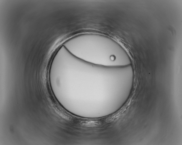 X0000111250151200907021027