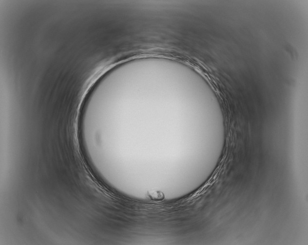 X0000111250152200907021027