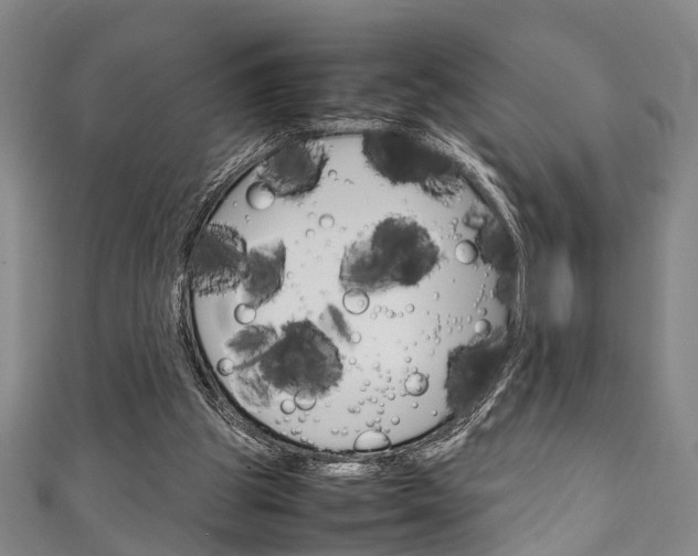 X0000111250153200907021027