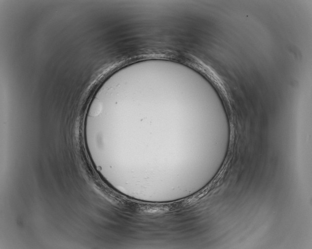 X0000111250155200907021027