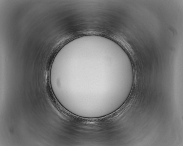 X0000111250157200907021027
