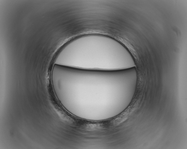 X0000111250160200907021027