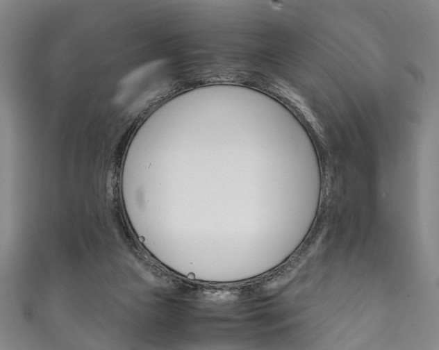 X0000111250161200907021027