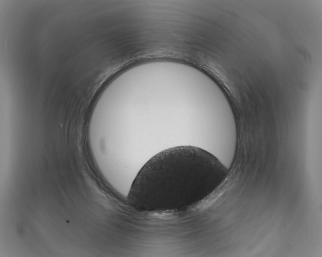 X0000111250164200907021027