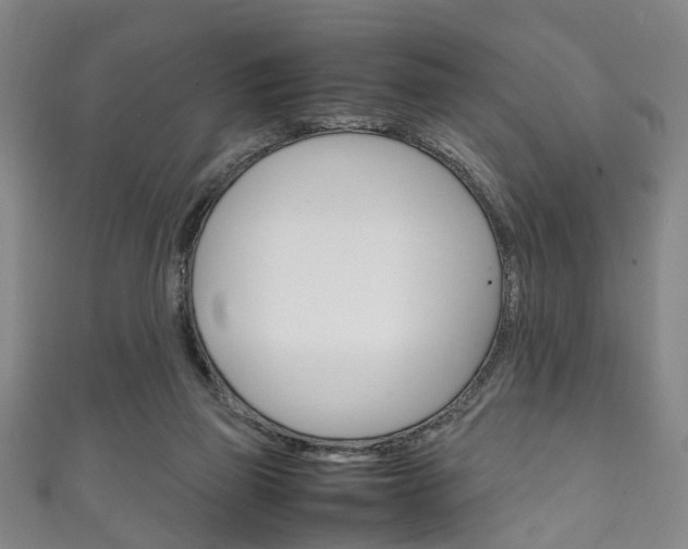 X0000111250165200907021027