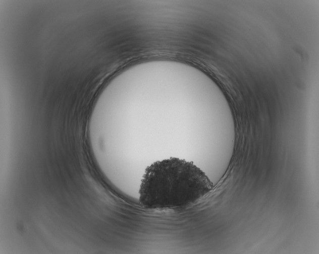 X0000111250168200907021027