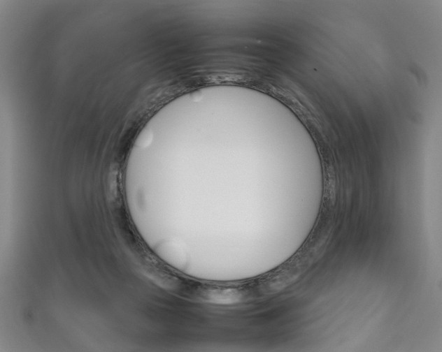 X0000111250169200907021027