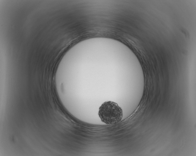 X0000111250172200907021027