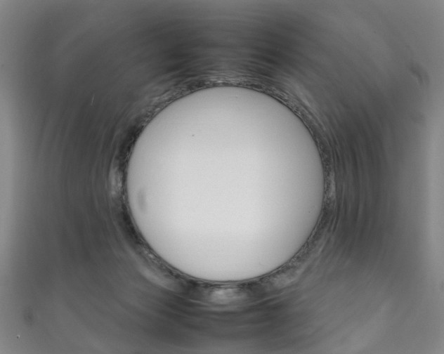 X0000111250173200907021027