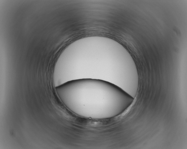 X0000111250174200907021027