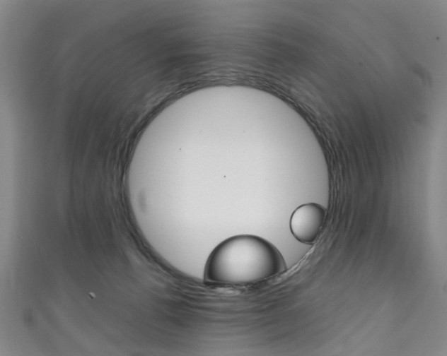 X0000111250176200907021027