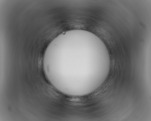 X0000111250177200907021027