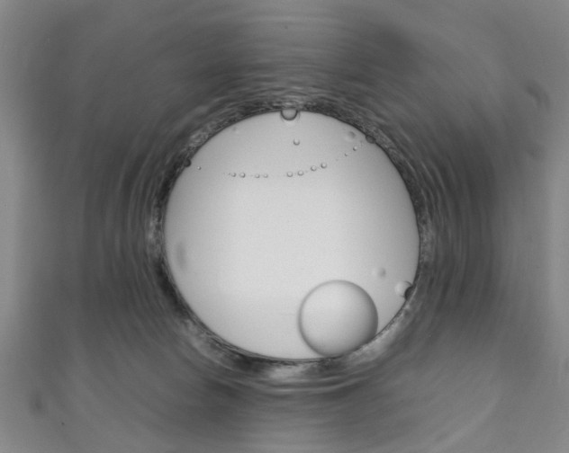 X0000111250178200907021027