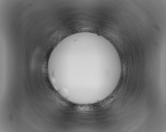 X0000111250181200907021027