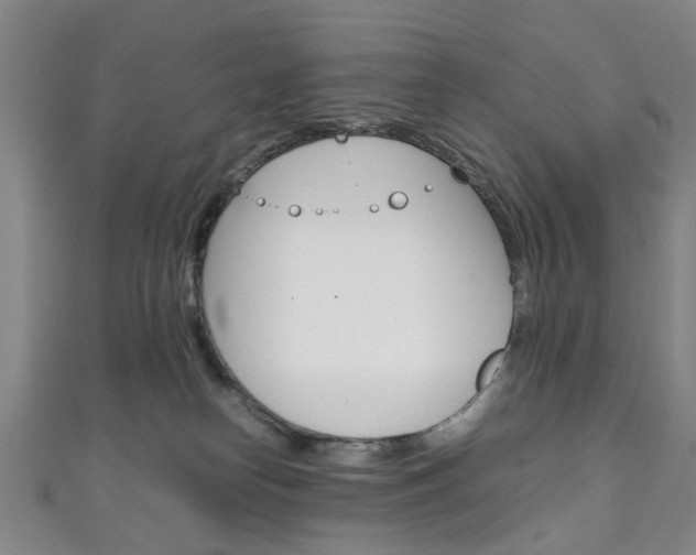 X0000111250182200907021027