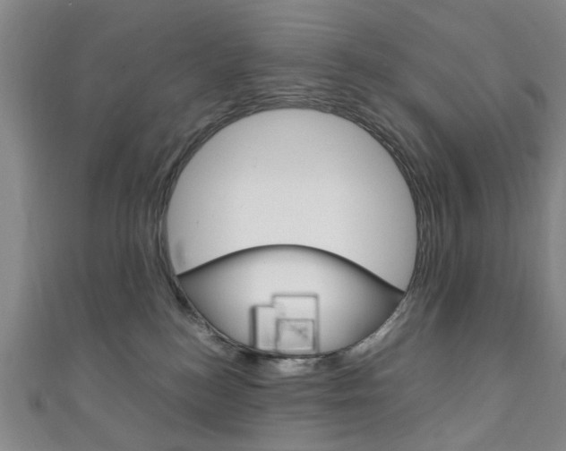 X0000111250184200907021027