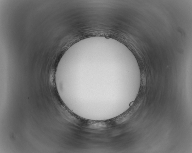 X0000111250185200907021027