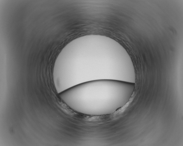 X0000111250186200907021027