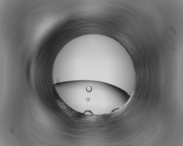 X0000111250190200907021027