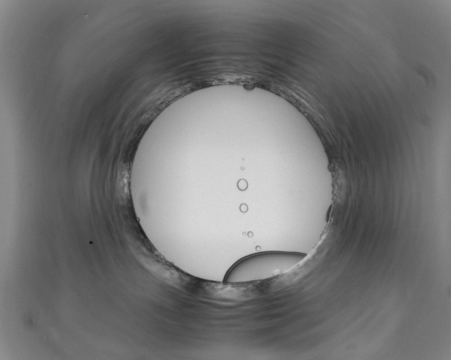X0000111250191200907021027