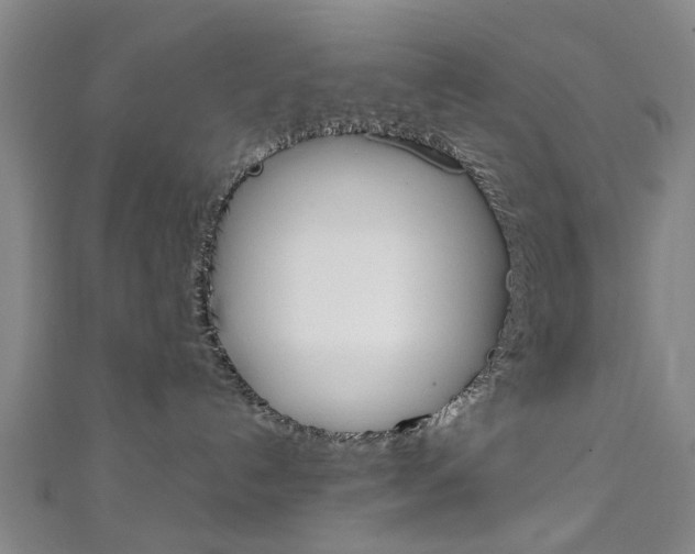 X0000111250192200907021027