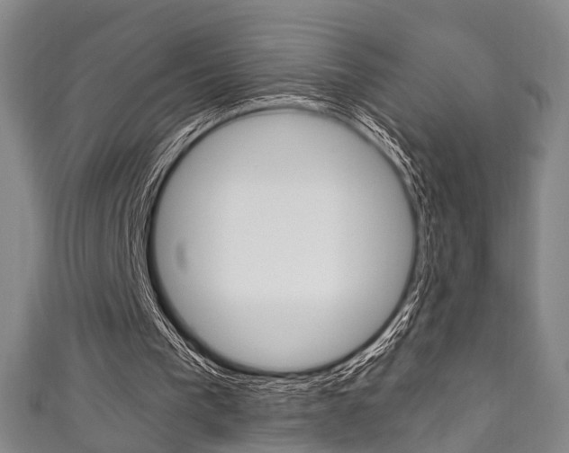 X0000111250193200907021026