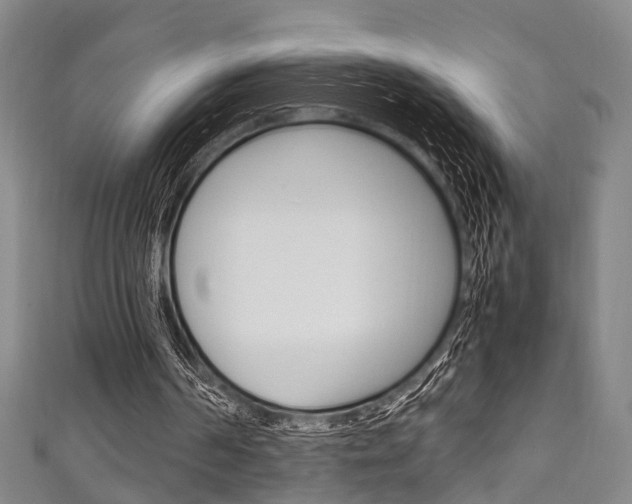 X0000111250194200907021026