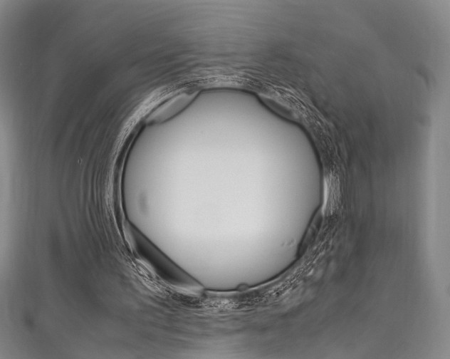 X0000111250195200907021026