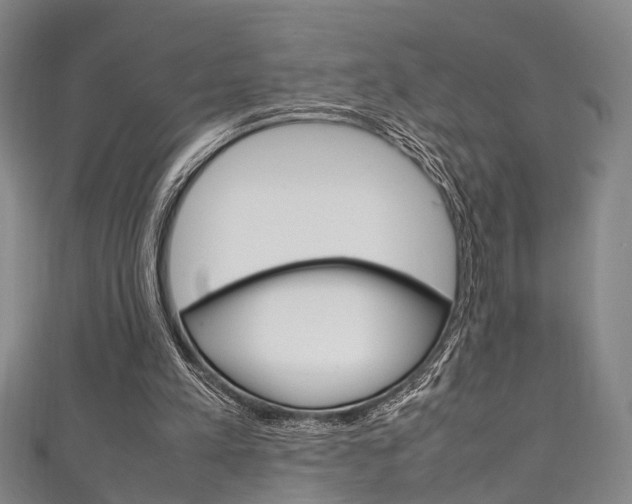 X0000111250197200907021026