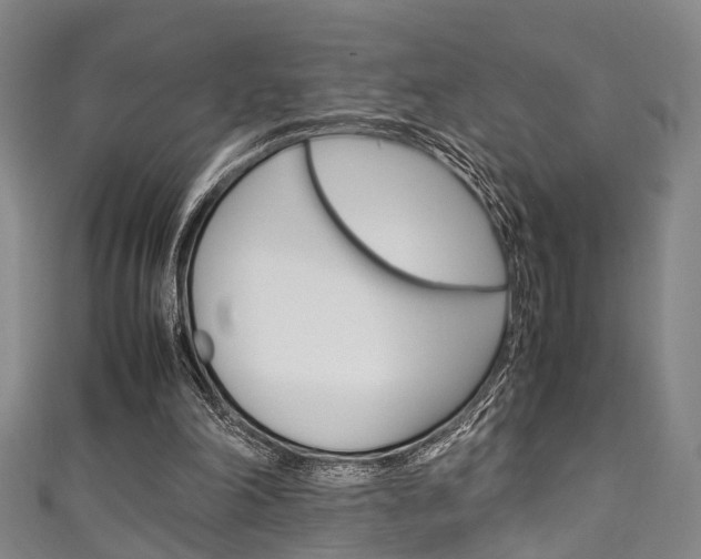 X0000111250198200907021026