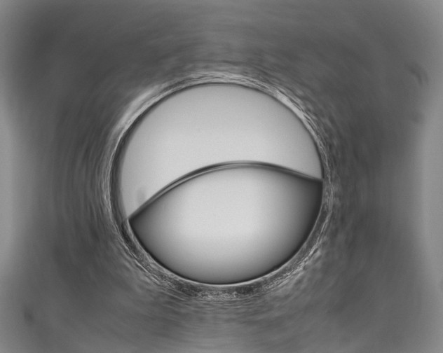 X0000111250199200907021026