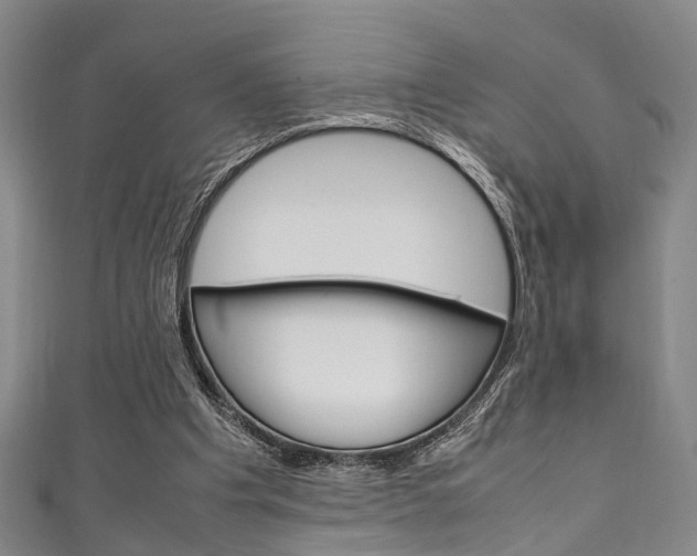 X0000111250201200907021026