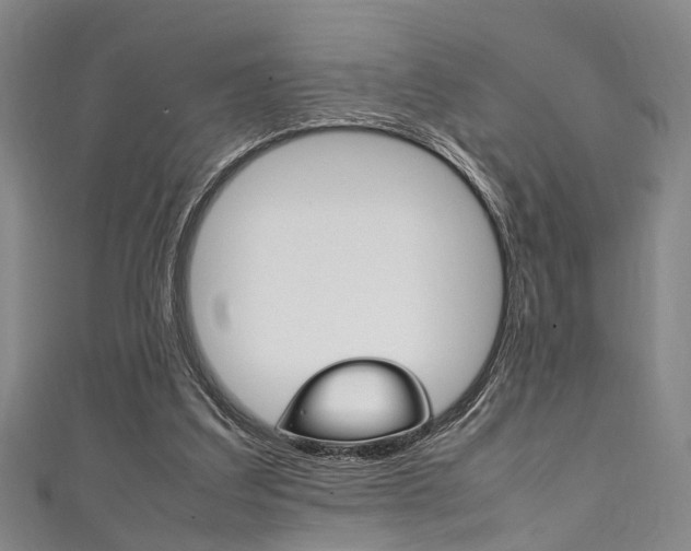 X0000111250203200907021026