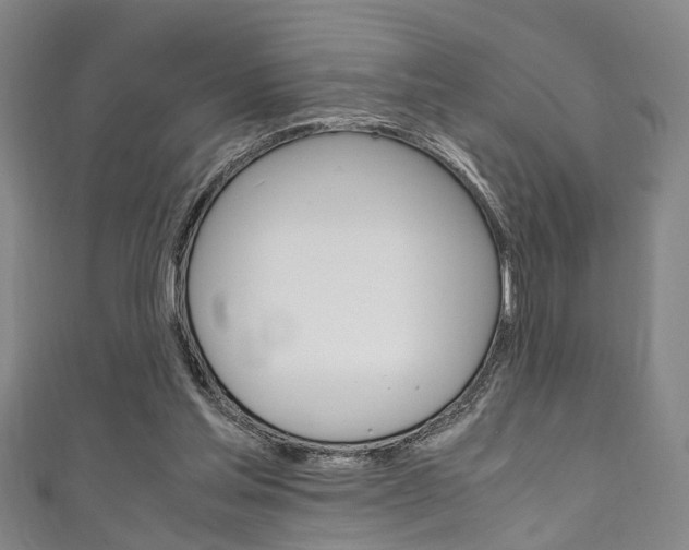 X0000111250205200907021026