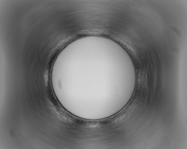 X0000111250206200907021026