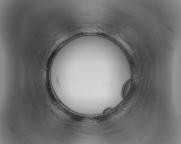 X0000111250207200907021026
