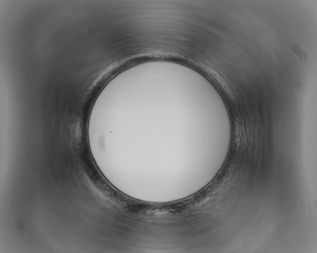 X0000111250208200907021026