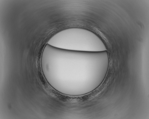 X0000111250209200907021026